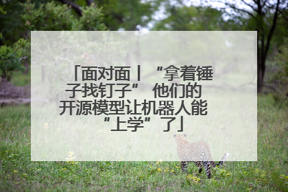 面对面丨“拿着锤子找钉子” 他们的开源模型让机器人能“上学”了